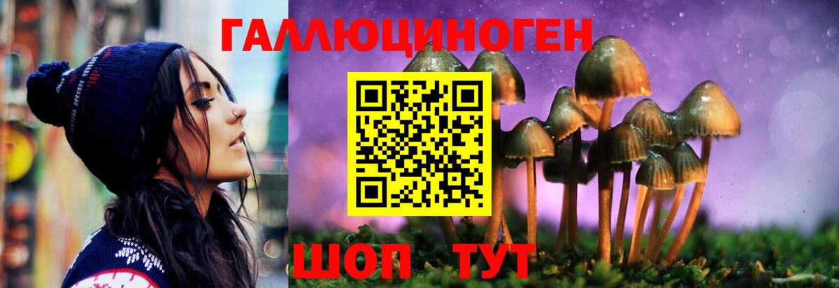 Галлюциногенные грибы GOLDEN TEACHER Омск